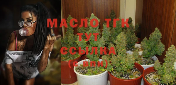 мдпв Саяногорск