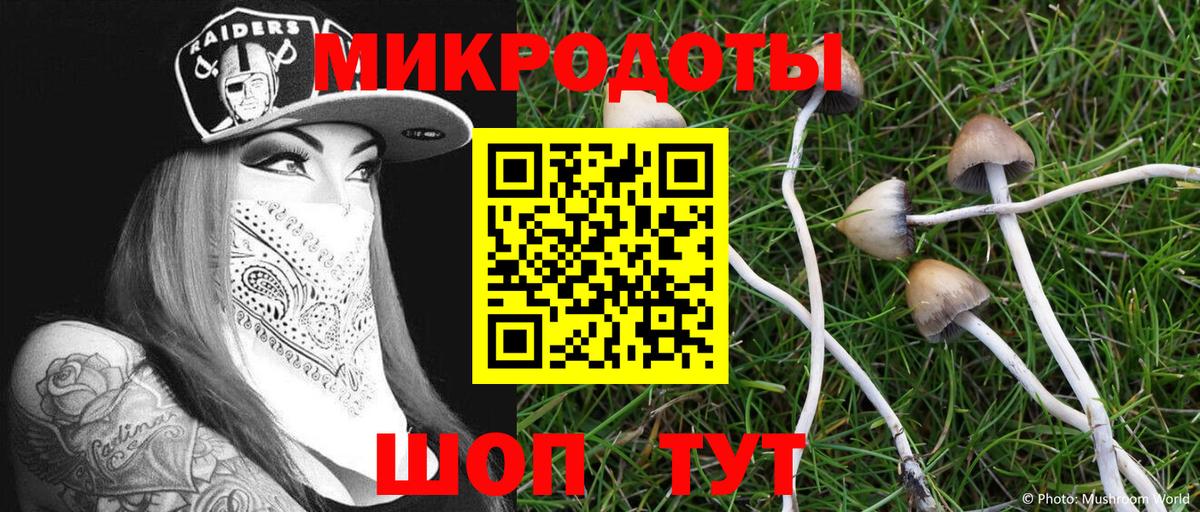 Кольчугино  Галлюциногенные грибы мухоморы  Вход с VPN 