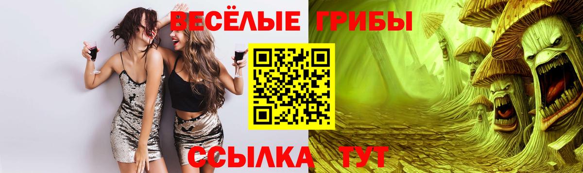 ГАШ  Alpha-PVP СК   Бошки Шишки  Меф МЯУ МЯУ кристаллы  Кольчугино  Кокаин  Вход с VPN 